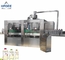 Automatic Carbonated Beverage Filling Machine / Liquid Filling Machine For PET Bottle supplier